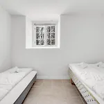 Charming Aurora L Cozy L *